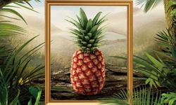 400 dolarlık ananas yok satıyor