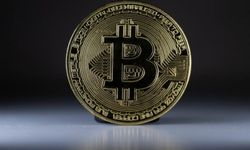 Bitcoin'i ilk resmi para ilan eden ülke hangisi? Bitcoin'i hangi ülkeler resmi para birimi olarak kullanıyor?