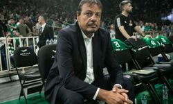 Ergin Ataman: Bu kadar kıskanç olma