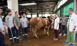 Osmangazi’nin Kurban Yakalama Timi göreve hazır