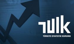 TÜİK Nisan 2024 Ücretli Çalışan İstatistiklerini paylaştı