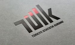 TÜİK Tarım Ürünleri Üretici Fiyat Endeksi, Mayıs 2024 verilerini paylaştı