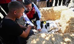 Bakan Yumaklı müjdeyi verdi! Hayvancılıkta yeni destek sistemi