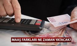 EMEKLİ MAAŞ FARKLARI NE ZAMAN YATACAK? Emekli zammı maaş farkı ödeme tarihleri Temmuz 2024