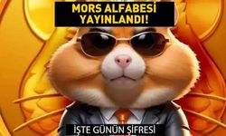 HAMSTER KOMBAT GÜNLÜK ŞİFRE 16 TEMMUZ 2024: Hamster Kombat günlük kombo kartları (Nasıl Açılır, Bulunur ve Yapılır Detaylı Anlatım)