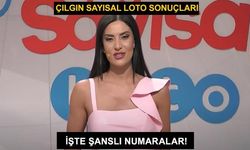 Sayısal Loto 17 Temmuz 2024 sonuçları… Çılgın Sayısal Loto bilet sorgulama linki