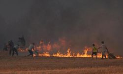 Son dakika haberi: İzmir'de yangın! Gaziemir ve Sarnıç'ta korkutan yangın! İzmir'in ilçeleri harita!