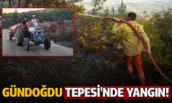 Bursa Gündoğdu Tepesi'nde yangın!