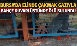 Elinde çakmak gazıyla bahçe duvarı üstünde ölü bulundu