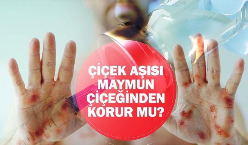 Çiçek aşısı maymun çiçeğine (Mpox) karşı korur mu?